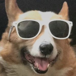 Meet your Posher, Devin